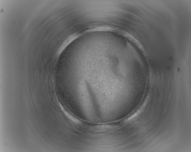 X0000076401425200610202118