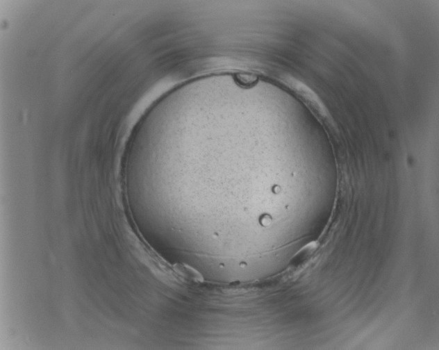 X0000076401427200610202119