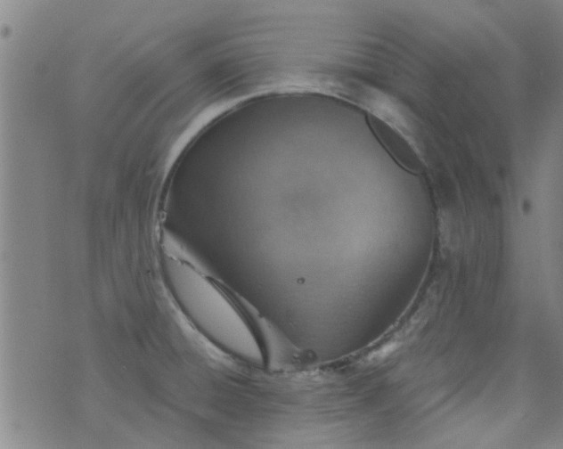 X0000076401428200610202119