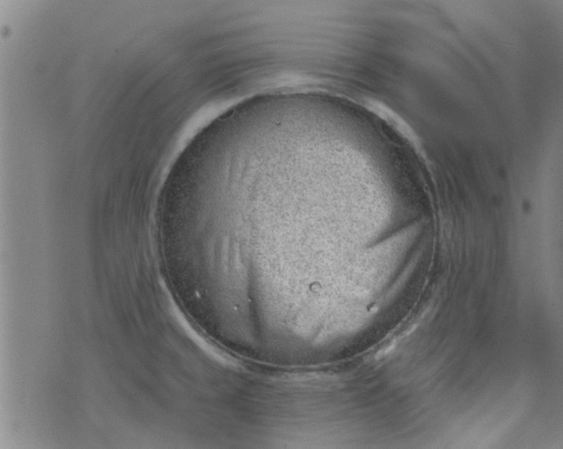 X0000076401429200610202119