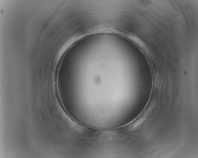 X0000076401430200610202119