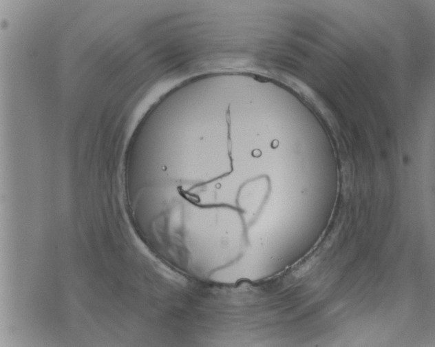 X0000076401432200610202119