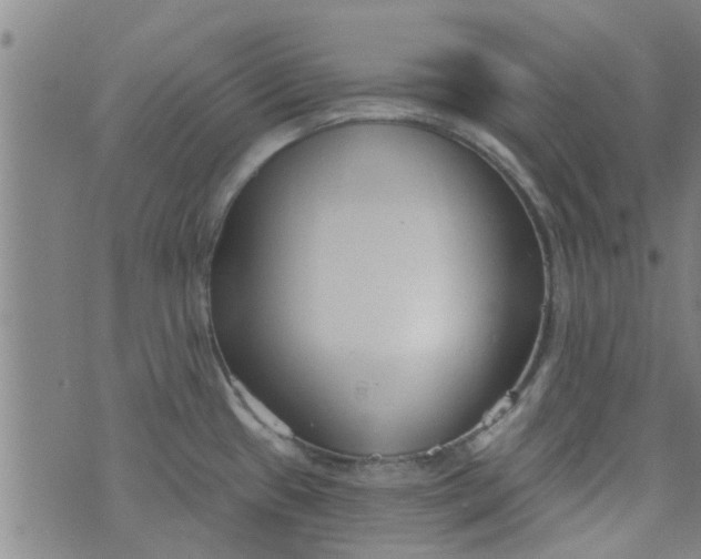 X0000076401433200610202119