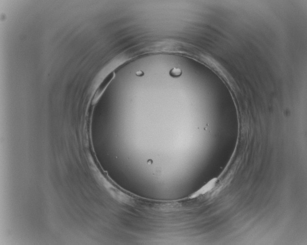 X0000076401434200610202119