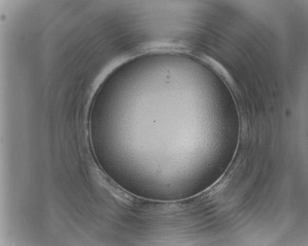 X0000076401435200610202119