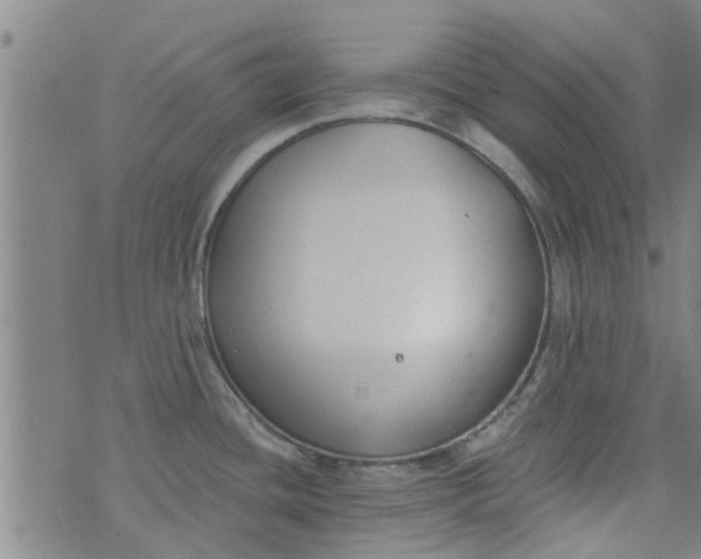 X0000076401436200610202119