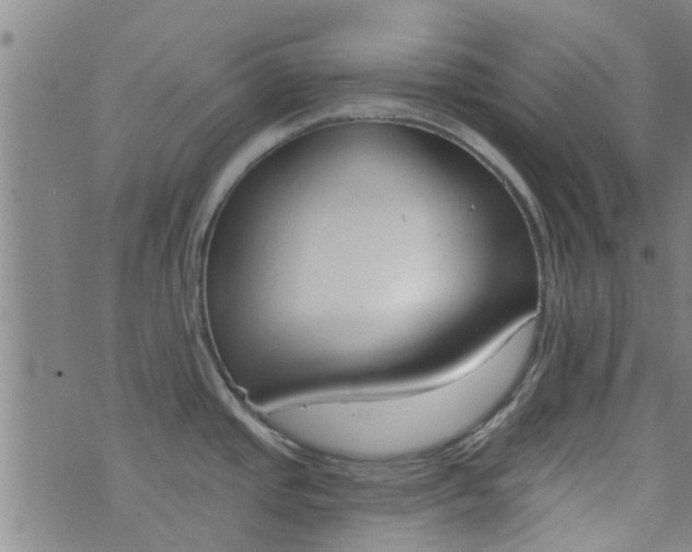 X0000076401437200610202119