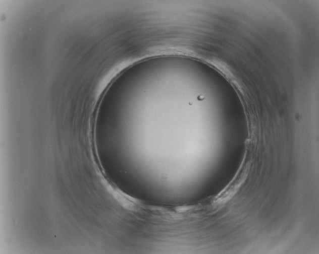 X0000076401438200610202119