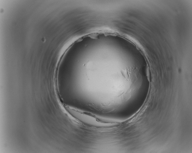 X0000076401440200610202119