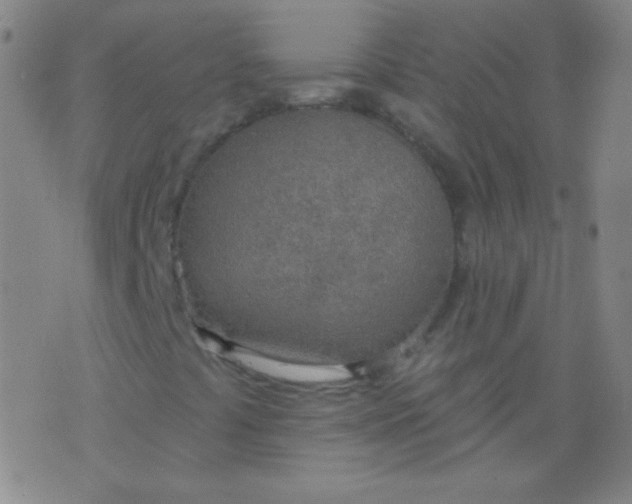 X0000076401441200610202118