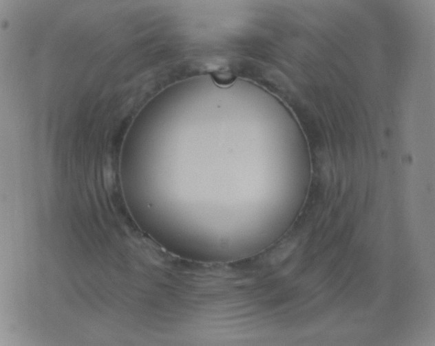 X0000076401442200610202118