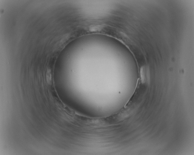 X0000076401443200610202118