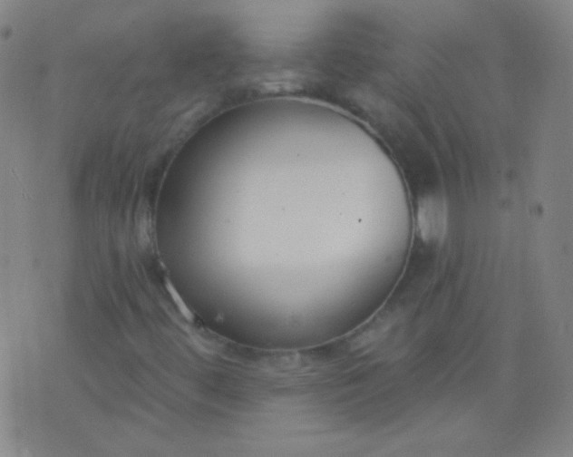 X0000076401444200610202118