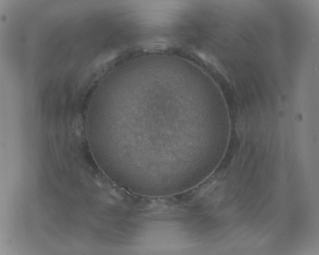 X0000076401445200610202118