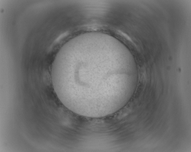 X0000076401446200610202118