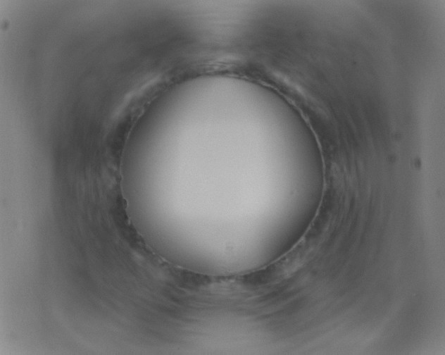 X0000076401447200610202118