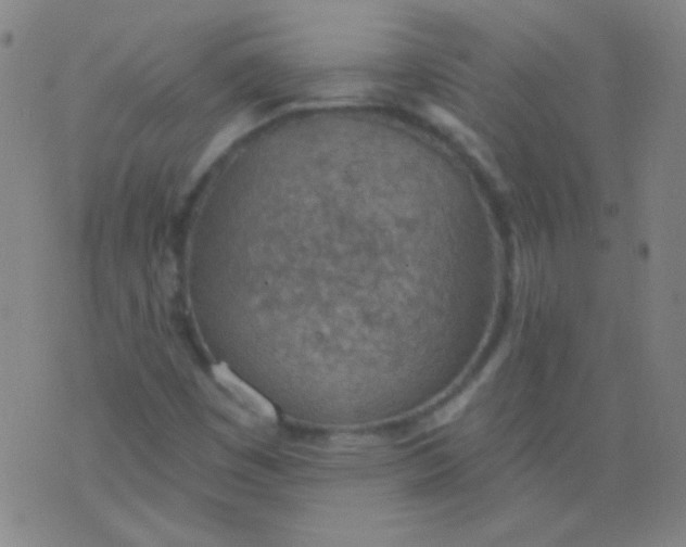 X0000076401449200610202118