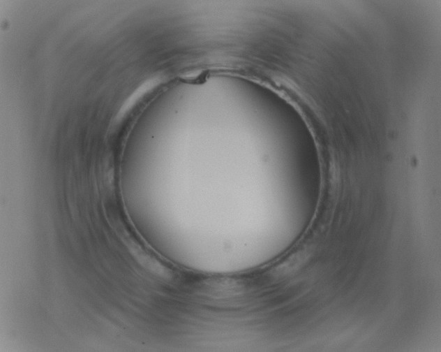 X0000076401450200610202118