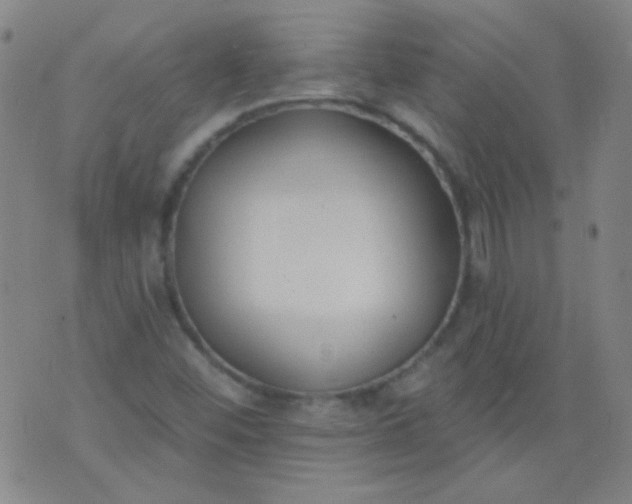 X0000076401452200610202118