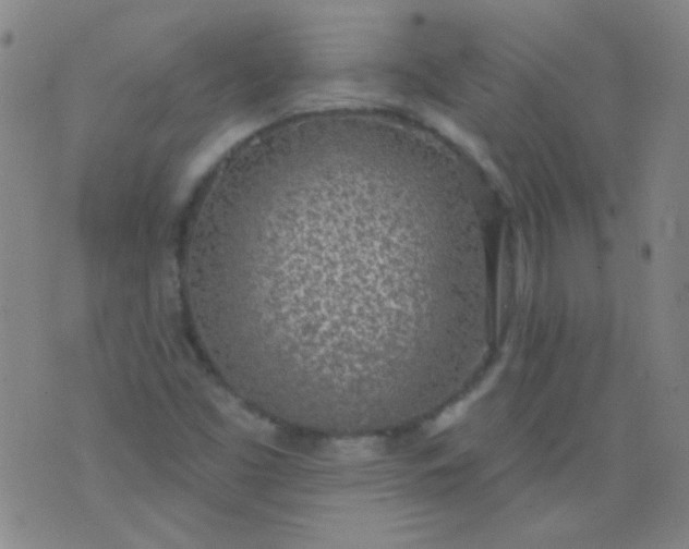 X0000076401453200610202118