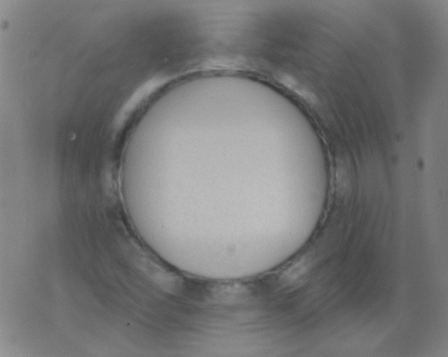 X0000076401454200610202118