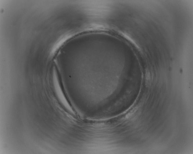 X0000076401455200610202118