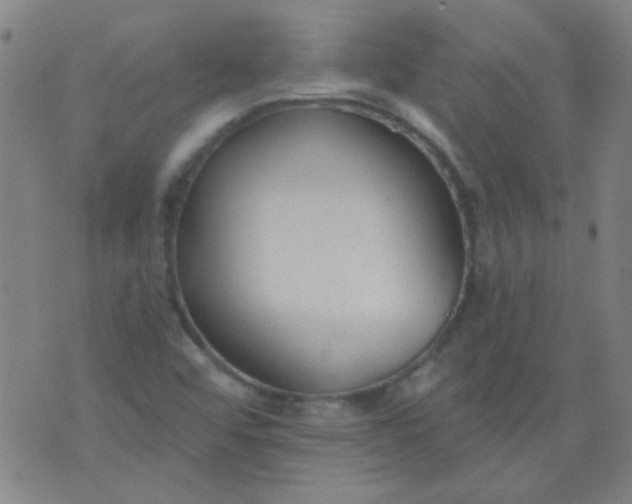 X0000076401456200610202118