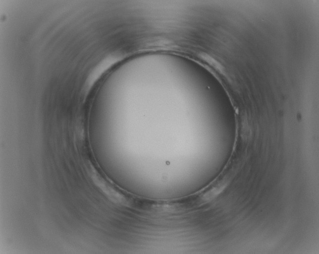 X0000076401458200610202118