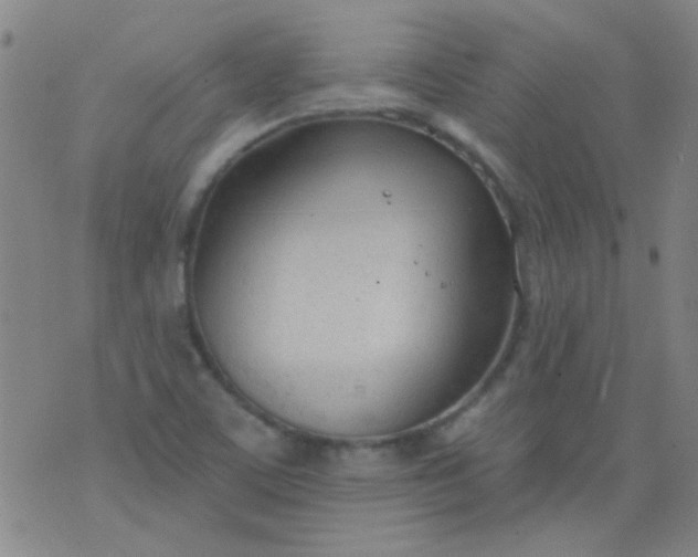 X0000076401459200610202118