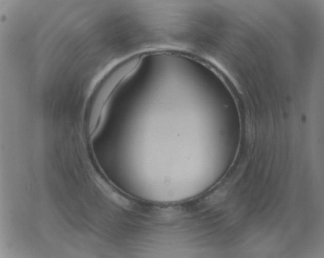 X0000076401460200610202118