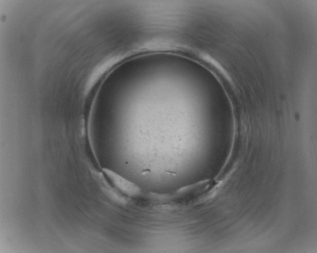 X0000076401461200610202118