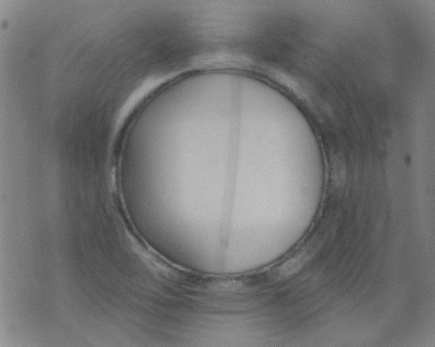 X0000076401462200610202118