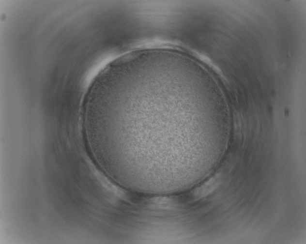 X0000076401463200610202118