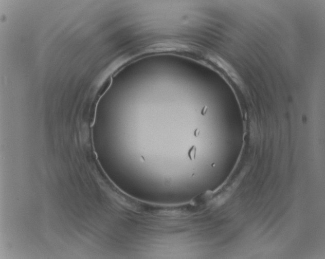 X0000076401465200610202118