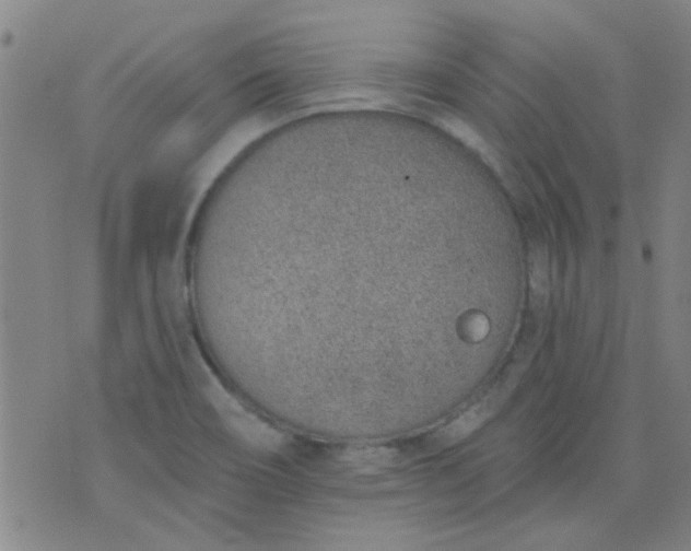 X0000076401466200610202118