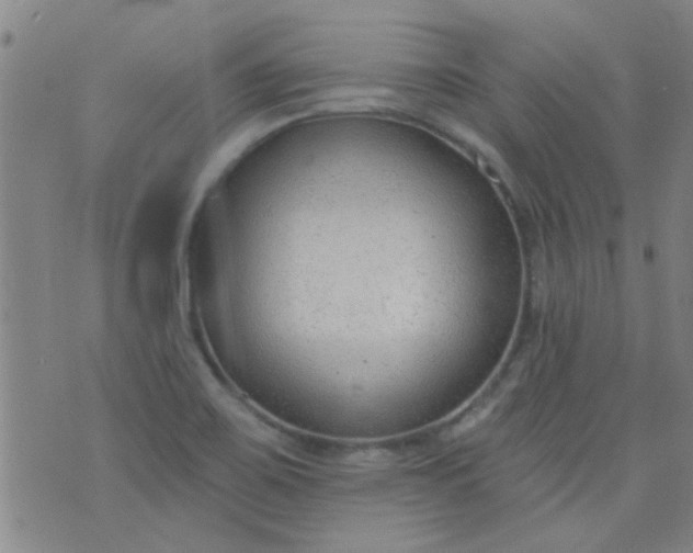 X0000076401467200610202117