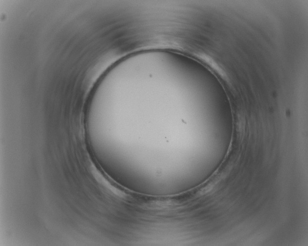 X0000076401468200610202117