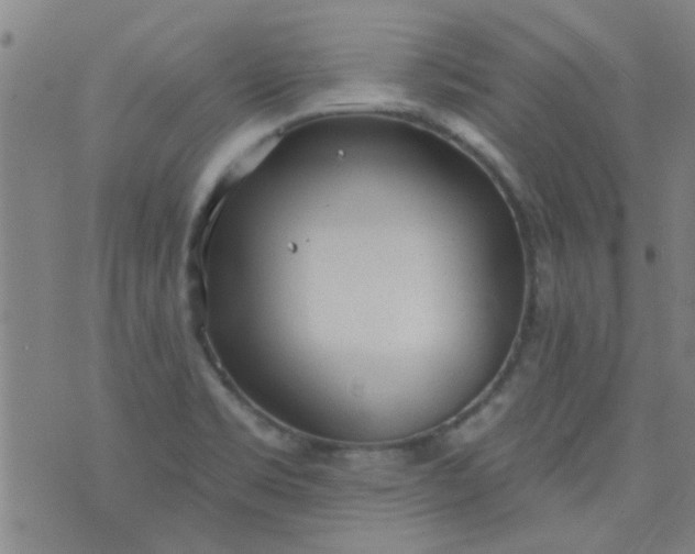 X0000076401469200610202117