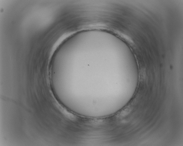 X0000076401470200610202117