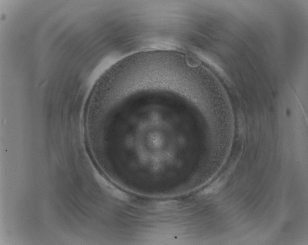 X0000076401471200610202117