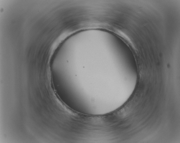 X0000076401472200610202117