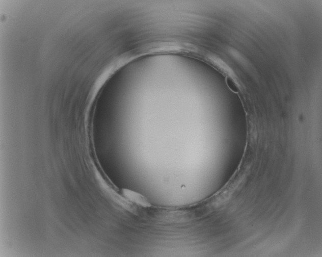 X0000076401475200610202117