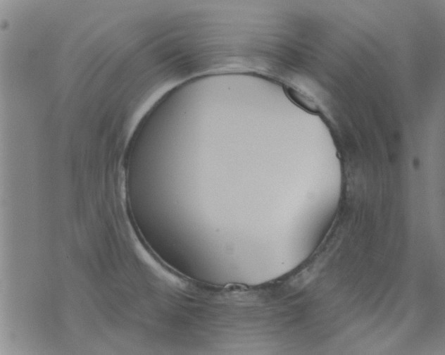 X0000076401476200610202117