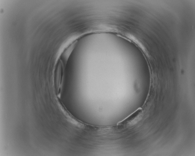 X0000076401477200610202117