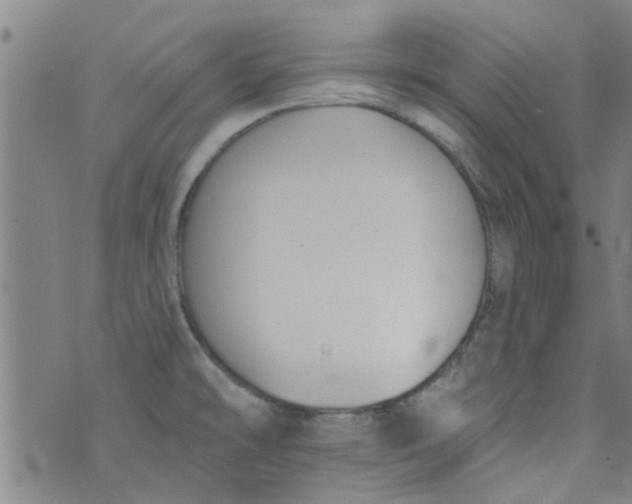 X0000076401478200610202117