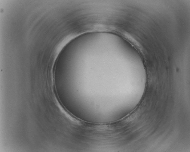 X0000076401479200610202117