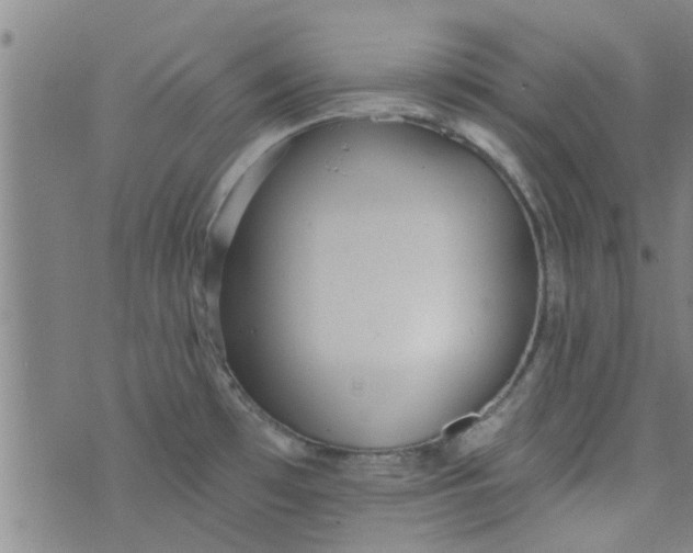 X0000076401481200610202117