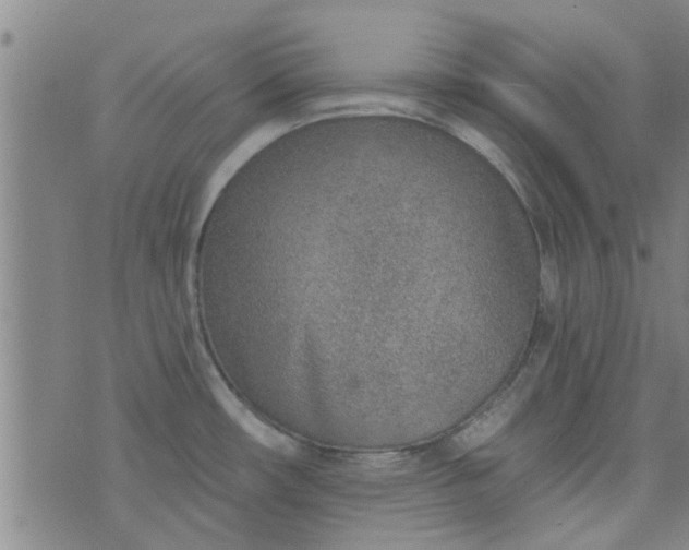 X0000076401482200610202117