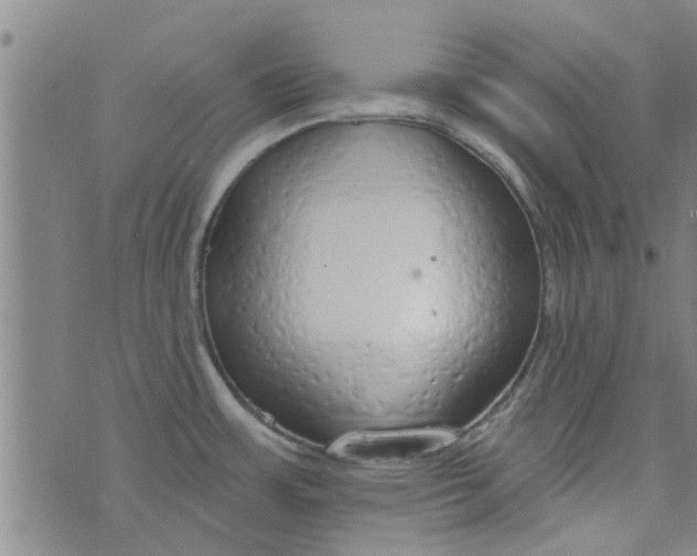 X0000076401483200610202117