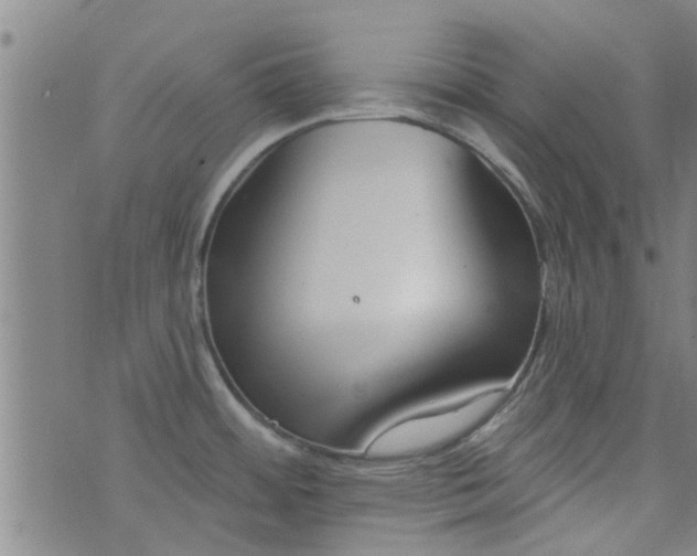 X0000076401484200610202117